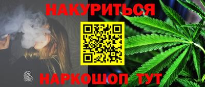 индика Будённовск