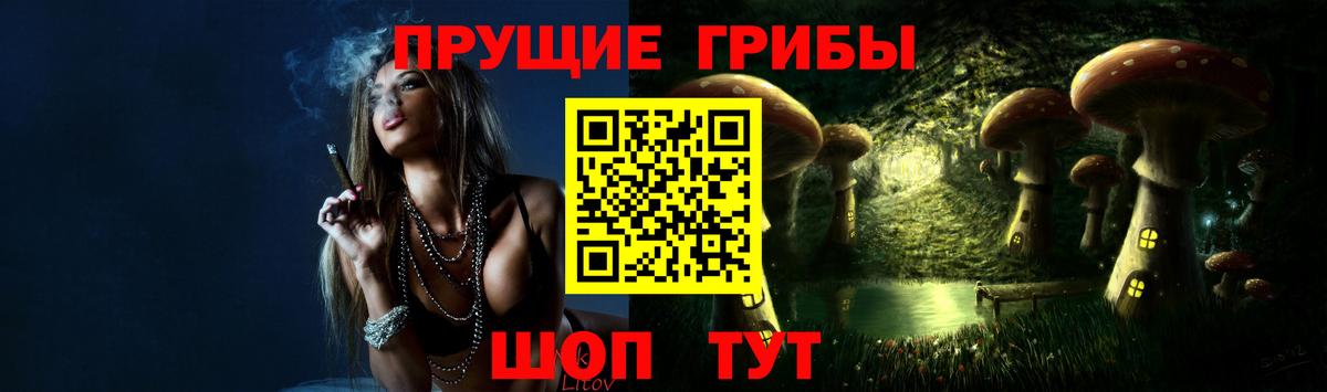 Галлюциногенные грибы Cubensis Медногорск